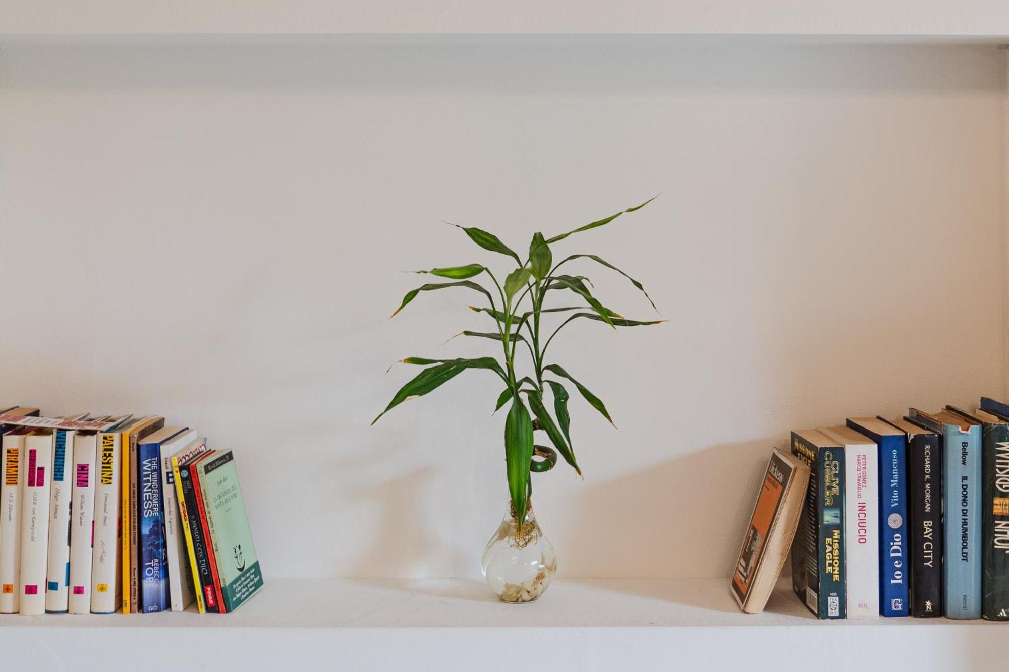 Bed and Breakfast Bed And Books Aeroporto di Catania Fontana Rossa Esterno foto